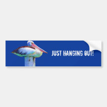 Tropical Coloured Pelican Bumper Stickers