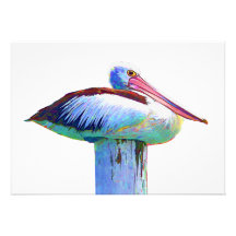 Tropical Coloured Pelican Custom Announcements