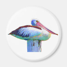 Tropical Coloured Pelican Magnets