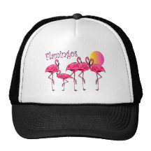 Tropical Flamingo Art Gifts Mesh Hats