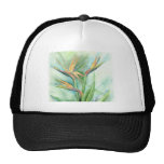 Tropical Flower Bird Of Paradise Painting - Multi Hat