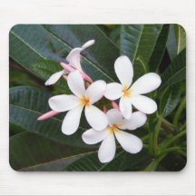 Tropical Hawaii White, Pink, Yellow, Plumeria Mouse Pad
