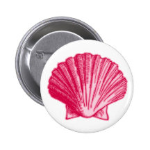 Tropical Hibiscus Blush Pink Sea Shell