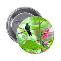 Tropical Hummingbird and Flowers Pins