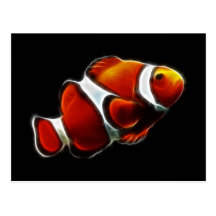 Tropical Orange Clownfish Clown Fish Post Card