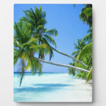 Tropical Palm Beach! Photo Plaques