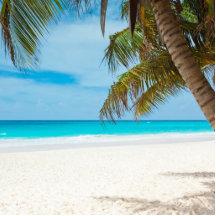 Tropical Paradise Beach Photo Cutouts