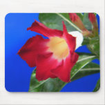 Tropical Passion Mouse Pads