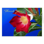 Tropical Passion - Thank You Cards