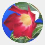 Tropical Passion - Thank You Round Sticker