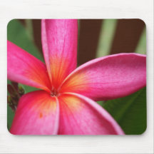 Tropical Pink Frangipani Mousepad