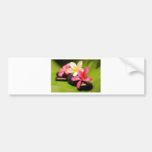 tropical plumeria flowers on stones bumper sticker