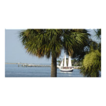 Tropical Sail Picture Card