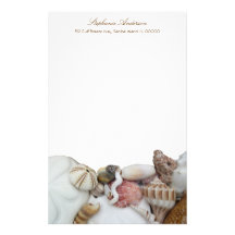 Tropical Seashell Border Personal Writing Paper Stationery