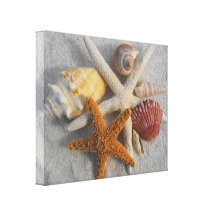Tropical Seashell/Starfish White Sand Photo Canvas Gallery Wrapped Canvas
