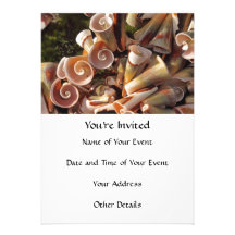 Tropical Seashells Invitations