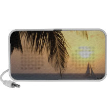 Tropical Sunset Sail Speakers
