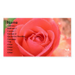 tropicana_rose-1920x1080 TROPICANA ROSE PINK BEAUT Business Card Templates
