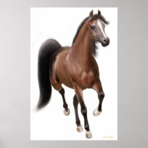 Trotting Bay Horse Poster