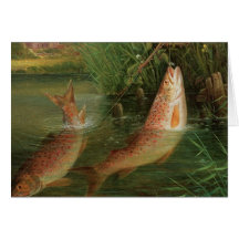 Trout at Winchester Cards