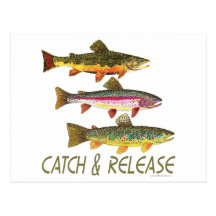 Trout Catch and Release Postcards
