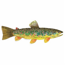 Trout Fly Fishing Acrylic Cut Out
