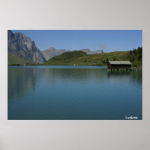 Truebsee Poster