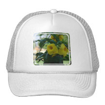 Trumpet Vine Baseball Hat