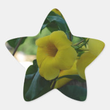 Trumpet Vine Stickers