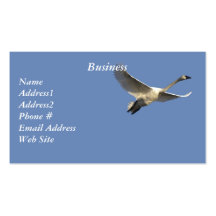 Trumpeter Swans Business Cards