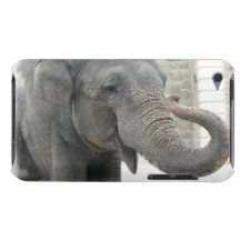 Trumpeting Elephant iTouch Case Barely There iPod Cases