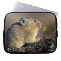 Trumpeting the Sunrise Computer Sleeve