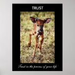 Trust Poster