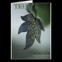 Trust To Trust © Vicki Ferrari Photography cards