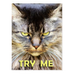 Try Me! Post Cards