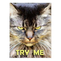 Try Me! Post Cards