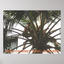 Tuba (Coconut Wine) Gatherer, Tuba (Coconut Win... Posters