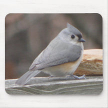 Tufted Titmouse Bird Mousepad