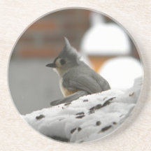 Tufted Titmouse Coasters