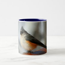 Tufted Titmouse Coffee Mug