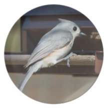 Tufted Titmouse Plate