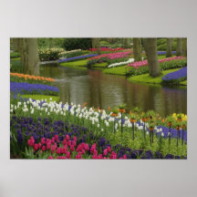 Tulip and hyacinth garden, Keukenhof Gardens, 2 Print