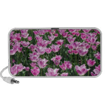 Tulip Fields PC Speakers