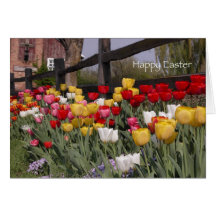 Tulip Garden Easter Card