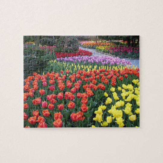 Tulip Gardens Jigsaw Puzzle Zazzle Au