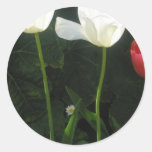 Tulip patch round stickers