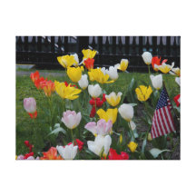 Tulips American Flag St Pauls Chapel Stretched Can Stretched Canvas Print
