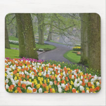 Tulips and roadway, Keukenhof Gardens, Lisse, Mouse Pads