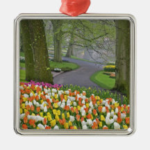 Tulips and roadway, Keukenhof Gardens, Lisse, Ornaments