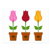 Tulips in Plant Pots Postcard